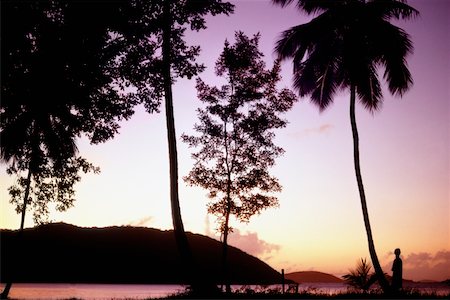 simsearch:625-01040510,k - Silhouette der Bäume bei Sonnenuntergang, US Virgin Islands Stockbilder - Premium RF Lizenzfrei, Bildnummer: 625-01041078