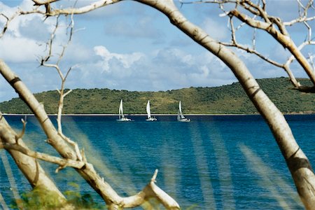 Voiliers naviguant côte, St. Croix, Iles Vierges américaines Photographie de stock - Premium Libres de Droits, Code: 625-01041098