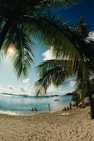 simsearch:625-01040510,k - Touristen am Strand inmitten von Palmen, US Virgin Islands Stockbilder - Premium RF Lizenzfrei, Bildnummer: 625-01041106