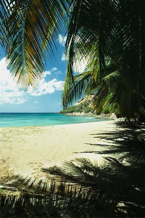 st lucia - View of a calm sea from a canopy of palm fronds, St. Lucia Foto de stock - Sin royalties Premium, Código: 625-01041134