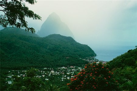 simsearch:625-01041101,k - The Grand Piton on the island of St. Lucia is shrouded in mist Stock Photo - Premium Royalty-Free, Code: 625-01041141