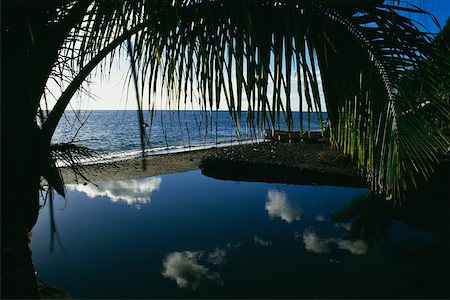 simsearch:625-01040510,k - Eine Lagune ist in der Nähe des Hafens Port-de-France in Martinique gesehen. Stockbilder - Premium RF Lizenzfrei, Bildnummer: 625-01041155