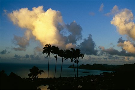 simsearch:625-01041167,k - Silhouette of palm trees against a calm sea at dusk, St. Lucia Fotografie stock - Premium Royalty-Free, Codice: 625-01041164