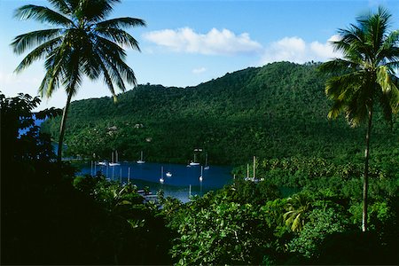 simsearch:625-01040916,k - High angle view of a secluded cove encircled by dense vegetation, St. Lucia, Caribbean Stock Photo - Premium Royalty-Free, Code: 625-01041180