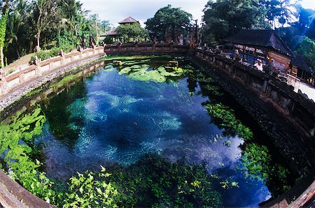 pond top view - High angle view of a pond, Bali, Indonesia Foto de stock - Sin royalties Premium, Código: 625-01094120