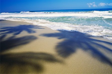 simsearch:625-01098288,k - Shadow of palm trees on the beach Caribbean Foto de stock - Sin royalties Premium, Código: 625-01094247