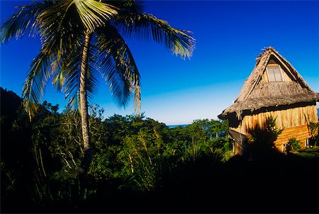 simsearch:625-01094251,k - Palm trees and a hut on the beach Caribbean Fotografie stock - Premium Royalty-Free, Codice: 625-01094243