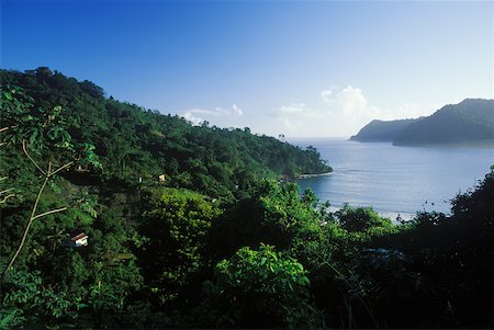 simsearch:625-01250905,k - Vue d'angle élevé des arbres sur une île des Caraïbes Photographie de stock - Premium Libres de Droits, Code: 625-01094264