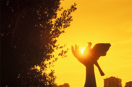 simsearch:625-01094319,k - Silhouette of the statue of a pigeon on a hand at dusk Stock Photo - Premium Royalty-Free, Code: 625-01094442