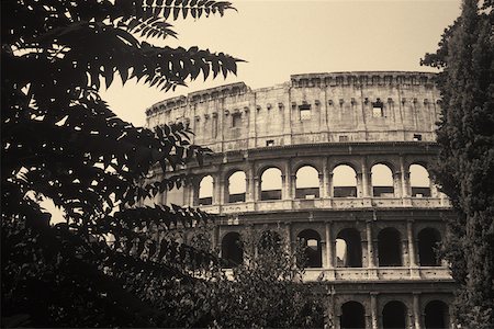 simsearch:625-02928732,k - Trees in front of an amphitheater Rome, Italy Foto de stock - Sin royalties Premium, Código: 625-01094577