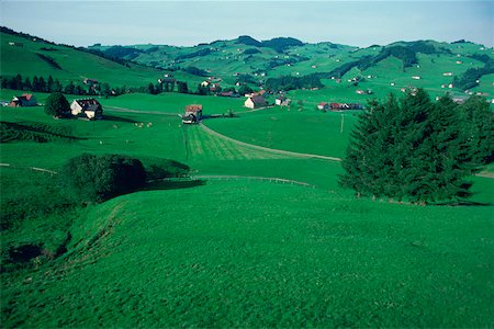simsearch:625-00801603,k - Houses on a landscape, Appenzellerland Canton, Switzerland Fotografie stock - Premium Royalty-Free, Codice: 625-01095284