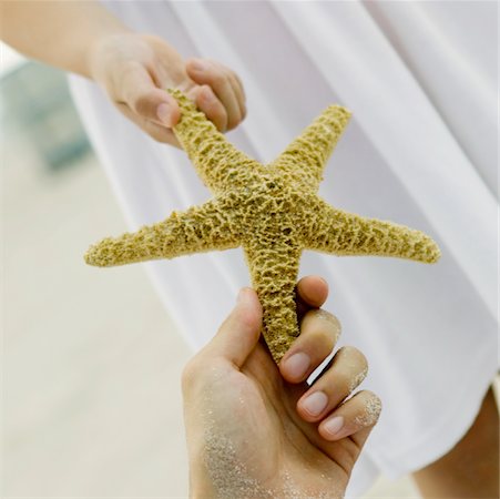 Gros plan de la main d'une personne donnant une étoile de mer pour une fille Photographie de stock - Premium Libres de Droits, Code: 625-01095444