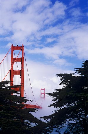 Trees in front of a bridge, Golden Gate Bridge, San Francisco California, USA Stock Photo - Premium Royalty-Free, Code: 625-01096440