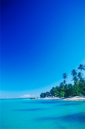 simsearch:625-01098288,k - Palm trees on the beach, Caribbean Foto de stock - Sin royalties Premium, Código: 625-01098278