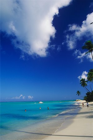simsearch:625-01094251,k - Panoramic view of the sea, Caribbean Fotografie stock - Premium Royalty-Free, Codice: 625-01098285