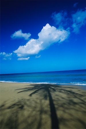 simsearch:625-01098288,k - Shadow of a palm tree on the beach, Caribbean Foto de stock - Sin royalties Premium, Código: 625-01098283