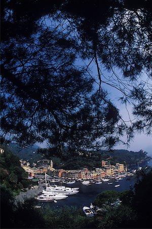 simsearch:625-01095198,k - Erhöhte Ansicht der Boote vor Anker in einen Hafen, Italien Stockbilder - Premium RF Lizenzfrei, Bildnummer: 625-01098421