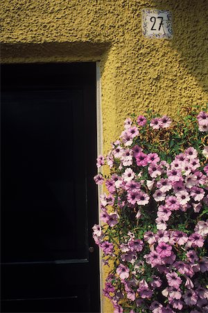 Flowers growing near a wall in front of a harbor Stock Photo - Premium Royalty-Free, Code: 625-01098434