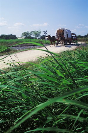 simsearch:625-00903515,k - Chariot de cheval sur une route rurale, Texas USA Photographie de stock - Premium Libres de Droits, Code: 625-01098531