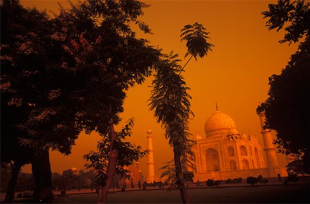 simsearch:625-01093095,k - Trees in front of a monument, Taj Mahal, Agra, Uttar Pradesh, India Foto de stock - Sin royalties Premium, Código: 625-01093069