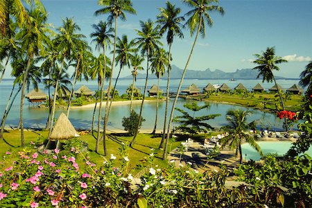 High angle view of a stilt house, Bure Hut Hotel, Papeete, Tahiti, Society Islands, French Polynesia Stock Photo - Premium Royalty-Free, Code: 625-01249657