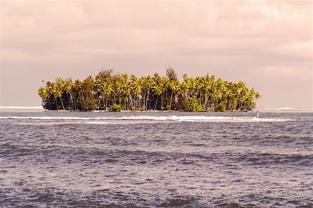 simsearch:625-01250905,k - Arbres sur une île, Tahiti, îles de la société, Polynésie française Photographie de stock - Premium Libres de Droits, Code: 625-01250051