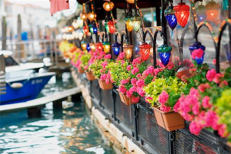 potted plants italy - Potted plant on a railing, Venice Veneto, Italy Stock Photo - Premium Royalty-Free, Code: 625-01250138