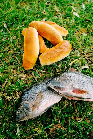 Gros plan du pain et du poisson sur l'herbe, Galilée, Israël Photographie de stock - Premium Libres de Droits, Code: 625-01250285