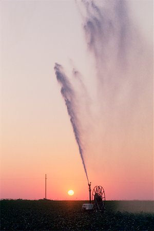 field crop sunrise nobody - Irrigation in Nebraska Stock Photo - Premium Royalty-Free, Code: 625-01250420