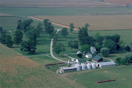 Ohio wheat fields and farm Stock Photo - Premium Royalty-Free, Code: 625-01250677