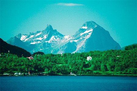 simsearch:625-01251598,k - Forest at the waterfront, Norway Foto de stock - Royalty Free Premium, Número: 625-01250971