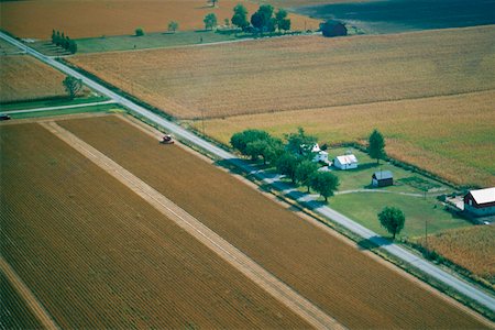 simsearch:625-00837461,k - Ohio corn harvesting Fotografie stock - Premium Royalty-Free, Codice: 625-01251496