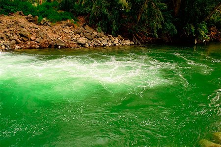 Vue grand angle vert eau dans une rivière, fleuve du Jourdain, Galilée, Israël Photographie de stock - Premium Libres de Droits, Code: 625-01251568