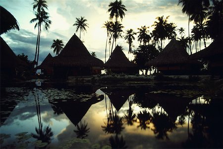 simsearch:625-01250905,k - Réflexion des huttes et des arbres dans l'eau, Huahine Island, Polynésie française Photographie de stock - Premium Libres de Droits, Code: 625-01251862