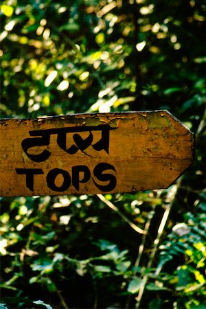 royal chitwan national park - Gros plan d'une information Conseil, Tiger Tops, Parc National de Chitwan au Népal Photographie de stock - Premium Libres de Droits, Code: 625-01264029