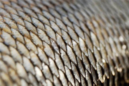 A Close Up Shot Of Fish Net Material Stock Photo, Picture and