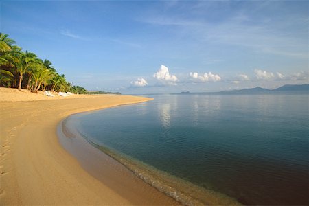 Arbres sur la plage, Ko Samui, Thaïlande Photographie de stock - Premium Libres de Droits, Code: 625-01264449