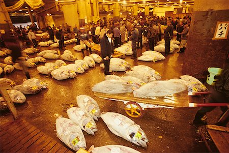 Erhöhte Ansicht eines Fisches zu vermarkten, Tsukiji-Fischmarkt, Tsukiji, Präfektur Tokio, Japan Stockbilder - Premium RF Lizenzfrei, Bildnummer: 625-01264631