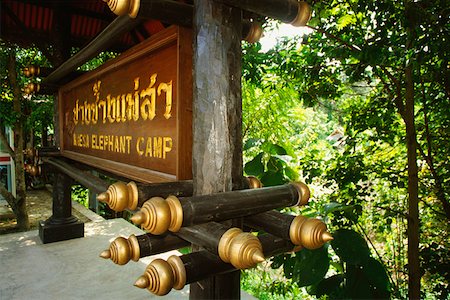 Gros plan d'un panneau à l'entrée d'un camp, Camp d'éléphants Mae Sa, Chiang Mai, Thaïlande Photographie de stock - Premium Libres de Droits, Code: 625-01261296