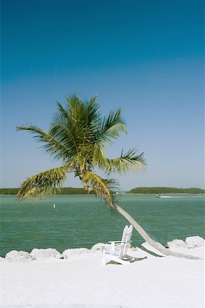 simsearch:625-01041040,k - Two empty adirondack chairs and a palm tree on the beach Stock Photo - Premium Royalty-Free, Code: 625-01262538