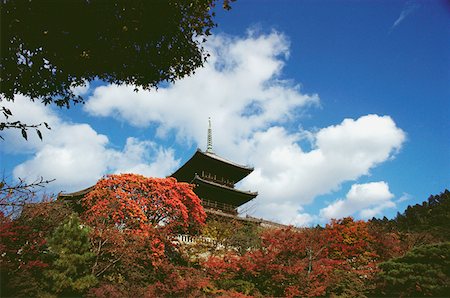 Low angle view of a Buddhist temple, Kiyomizu-Dera Temple, Kyoto Prefecture, Japan Fotografie stock - Premium Royalty-Free, Codice: 625-01263256