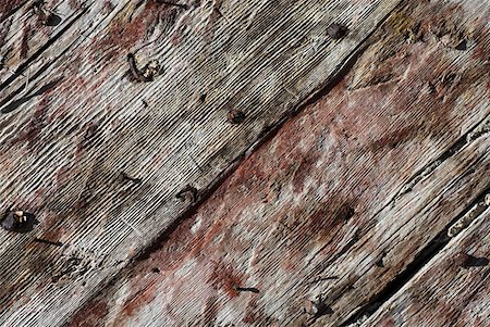 Close-up of a wooden surface Stock Photo - Premium Royalty-Free, Code: 625-01744085