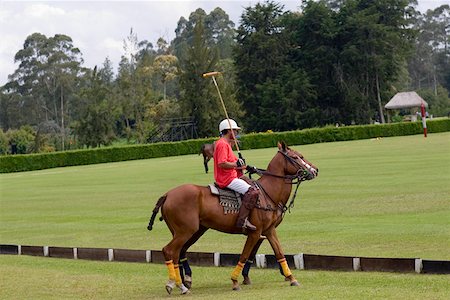 simsearch:625-01039739,k - Profil de côté d'un homme jouant polo Photographie de stock - Premium Libres de Droits, Code: 625-01744477