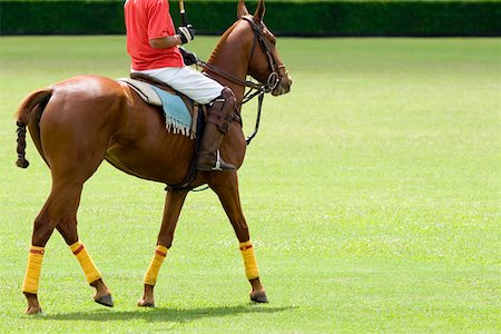 dressage - Low section view of a man playing polo Stock Photo - Premium Royalty-Free, Code: 625-01744490