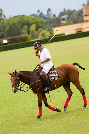 polo sport - Side profile of a mature man playing polo Stock Photo - Premium Royalty-Free, Code: 625-01744493