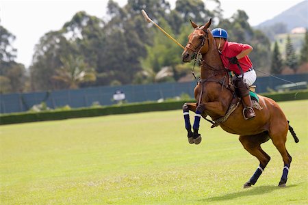 simsearch:832-03358664,k - Man playing polo Foto de stock - Royalty Free Premium, Número: 625-01744504