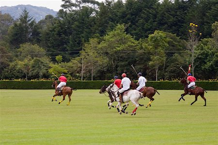 simsearch:614-07708239,k - Five polo players playing polo Stock Photo - Premium Royalty-Free, Code: 625-01744549