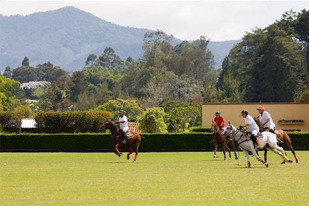 Polo players playing a polo match Stock Photo - Premium Royalty-Free, Code: 625-01744554