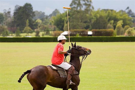 estribo - Side profile of a senior man playing polo Foto de stock - Sin royalties Premium, Código: 625-01744552