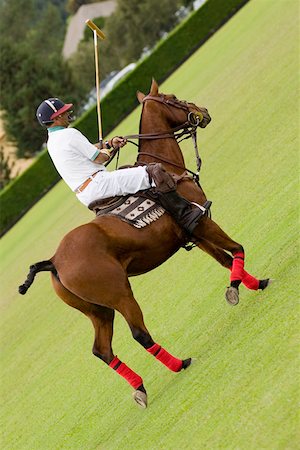 seniors sport competition - Side profile of a mature man playing polo Stock Photo - Premium Royalty-Free, Code: 625-01744826